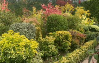 Autumn colours in the garden