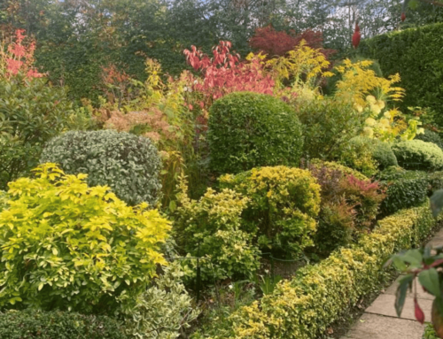 The changing seasons: Tips to get your garden ready for winter